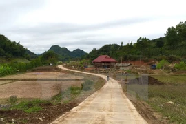 Son La strives to earn more new rural area titles