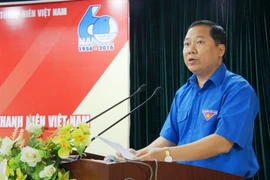 Numerous activities to mark 60 years of Vietnam Youth Federation 