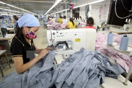 Forum highlights new social insurance policies 