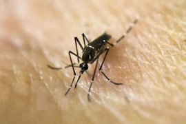 Singapore: First case of locally-transmitted Zika virus reported