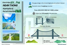 First glass bridge in Central Highlands