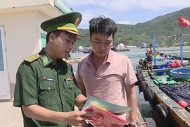 Deputy PM urges strict punishments of IUU violations