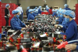 Vietnamese labourers’ average income up 6.9% in 2023