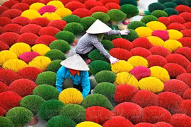 Hanoi’s incense village captivates travellers