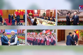 2023 - A successful year for Vietnam’s Diplomacy