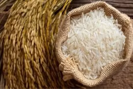 Vietnam’s rice export performance over years