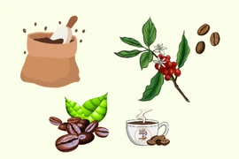 Coffee exports set to account for 80-85% of total production by 2030