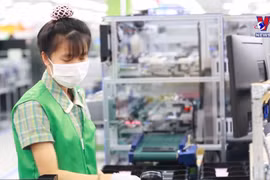 FDI firms power Vietnam’s exports