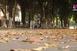 Autumn - The most stunning time to visit Hanoi