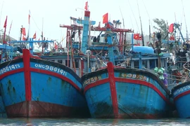 Inspections at fishing ports to be tightened