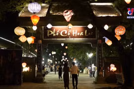 Ninh Binh lights up night-time tourism