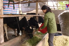 Hanoi targets 30% reduction in poor households in 2023