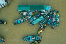 Cai Rang floating market festival kicks off