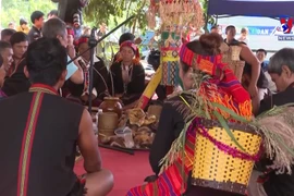 Preserving the new rice celebration in the central highlands