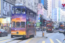 Hong Kong firms seek cooperation opportunities in Vietnam