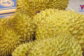 Fruit and vegetable exporters gear up for year-end