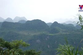 International media praise Vietnam’s tourism charms