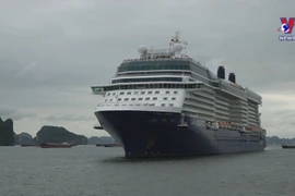 Vietnam experiencing vibrant sea tourist influx