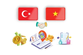 Vietnam, Türkiye promote cooperative relations