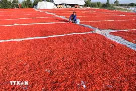 Hoa Binh ships inaugural batch of pickled chili peppers to RoK
