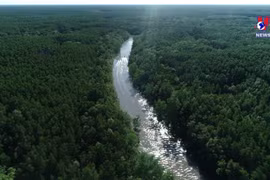 Can Gio Biosphere Reserve nominated as Ramsar site