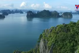 Ha Long Bay listed among 51 most beautiful places in the world