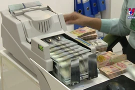 Vietnam dong one of most stable currencies in Asia: Experts 