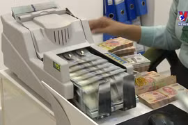 Vietnam dong one of most stable currencies in Asia: Experts 