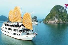 Over 4.6 million foreign tourists visit Vietnam in Q1