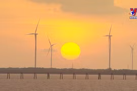 Stunning wind farm in Bac Lieu province