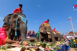 Elephant festival offers unique experience for visitors to Dak Lak