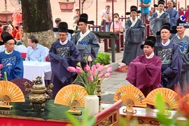 Re-enactment of Doan Ngo Festival waxes nostalgic
