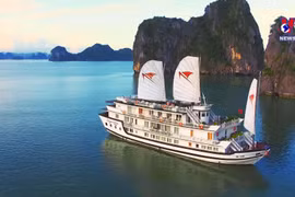 Vietnam's tourism shows strong recovery in 2023