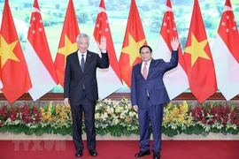 Vietnam, Singapore PMs hold talks