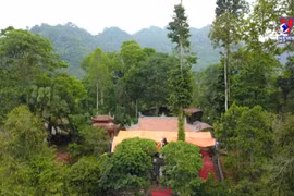 Pagoda in Tuyen Quang home to a national treasure