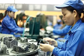 Ministry's fund lends SMEs 29 million USD 