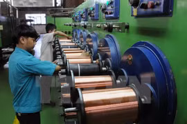 Vietnam’s vocational training meets German standards