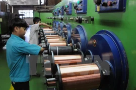 Vietnam’s vocational training meets German standards