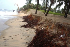 Sea erosion damages homes in Binh Thuan