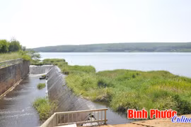 Severe drought, water shortage threaten Binh Phuoc 
