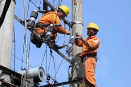 Two more islands in Kien Giang to enjoy power soon