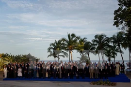 Vietnam works to hold firm to orientations of Non-Aligned Movement