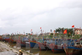 Deputy PM inspects storm prevention in Thai Binh 