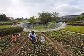 Vietnamese kindergarten’s design draws plaudits