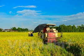 Hi-tech agriculture heats up NA session