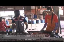 Ten-month cashew export enjoys robust growth