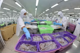 EU businesses seek cooperation opportunities in Vietnam 