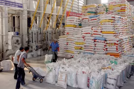 Vietnamese rice needs international brand name 