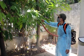 Two more Zika virus cases reported in HCM City 