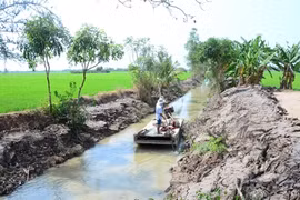 Locals join hands to fight against saline intrusion